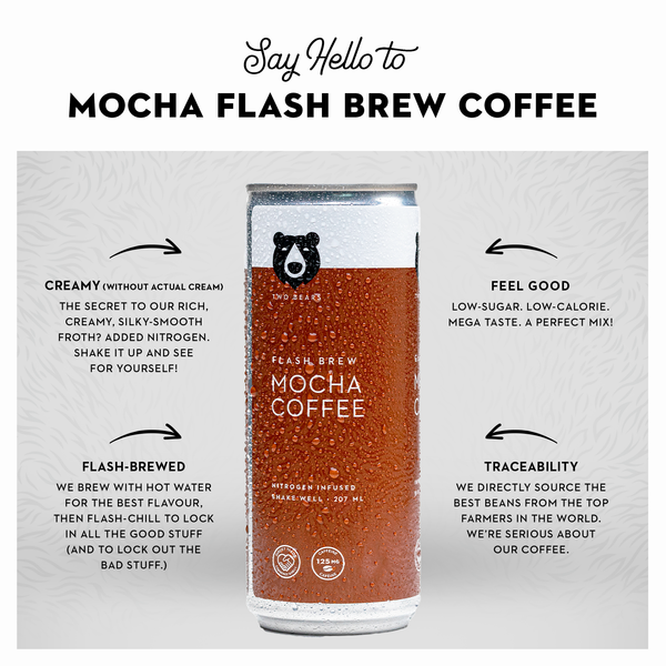 Two Bear Frothed Oat Latte - Mocha 207ml
