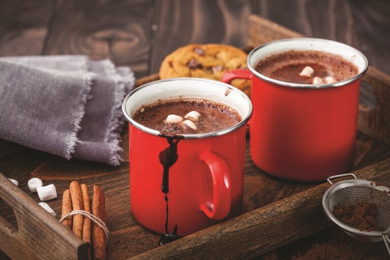 Gourmet Du Village Hot Chocolate - Whimsical - Dragon