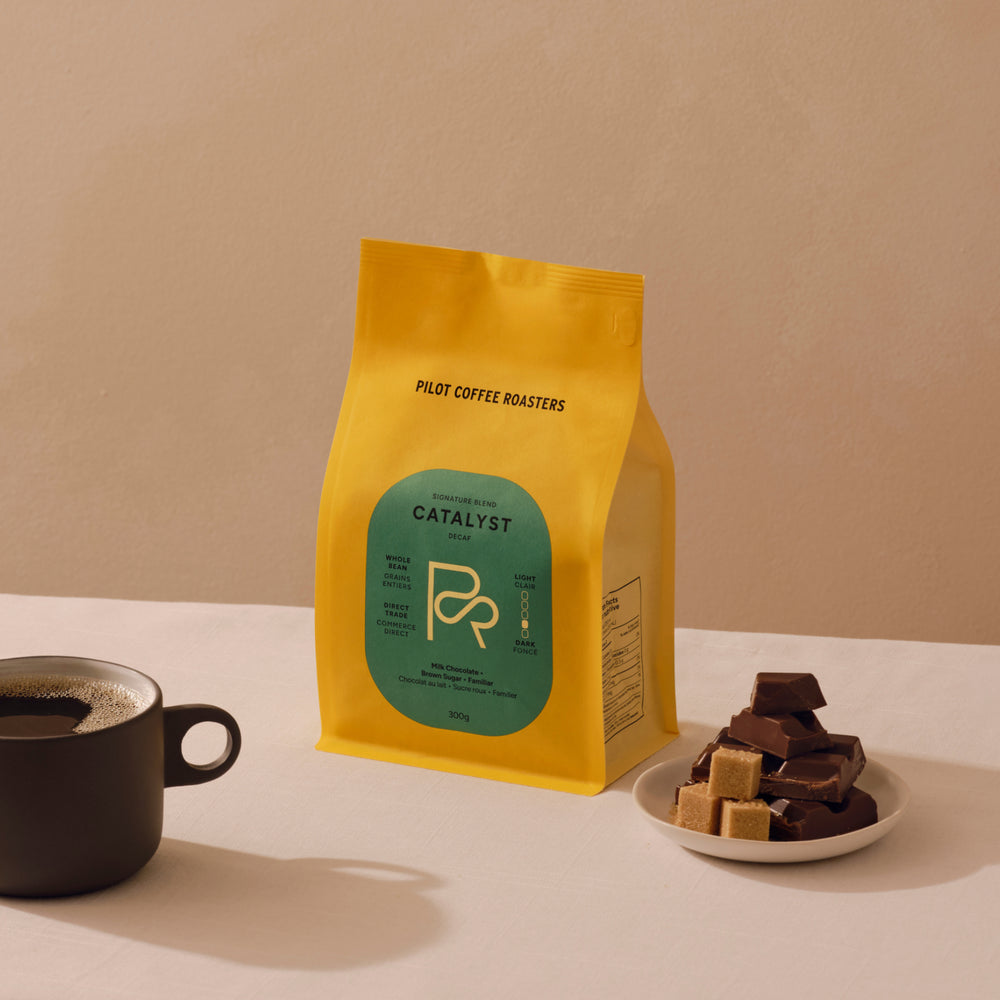 Pilot Coffee WB Catalyst Blend Decaf 10.6oz (300g)