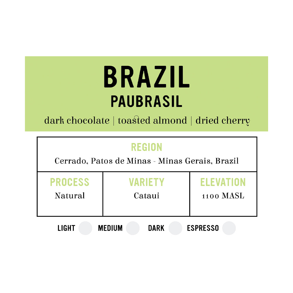 I.XXI WB Single Origin Brazil - Paubrasil 12oz