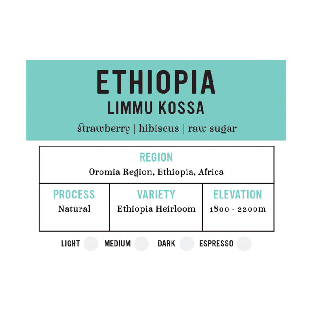 I.XXI WB Single Origin Ethiopia - Limmu Kossa Medium 12oz