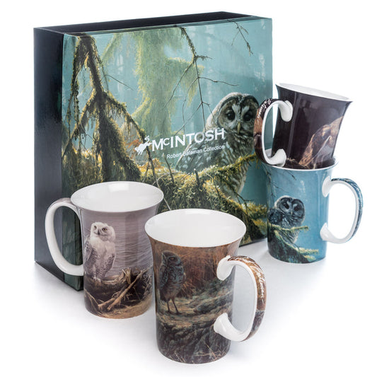McIntosh 4 Mug Set - Robert Bateman - Owls