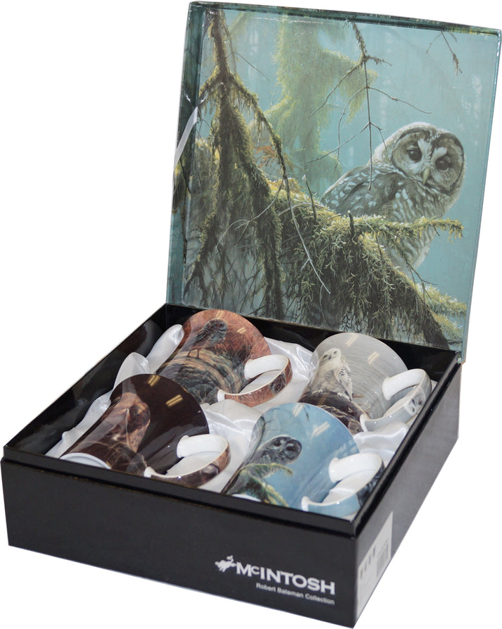 McIntosh 4 Mug Set - Robert Bateman - Owls