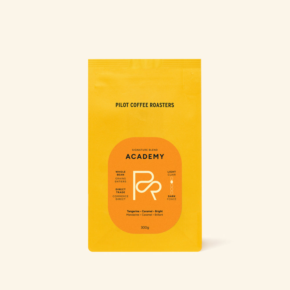 Pilot Coffee WB Academy Blend 10.6oz (300g)