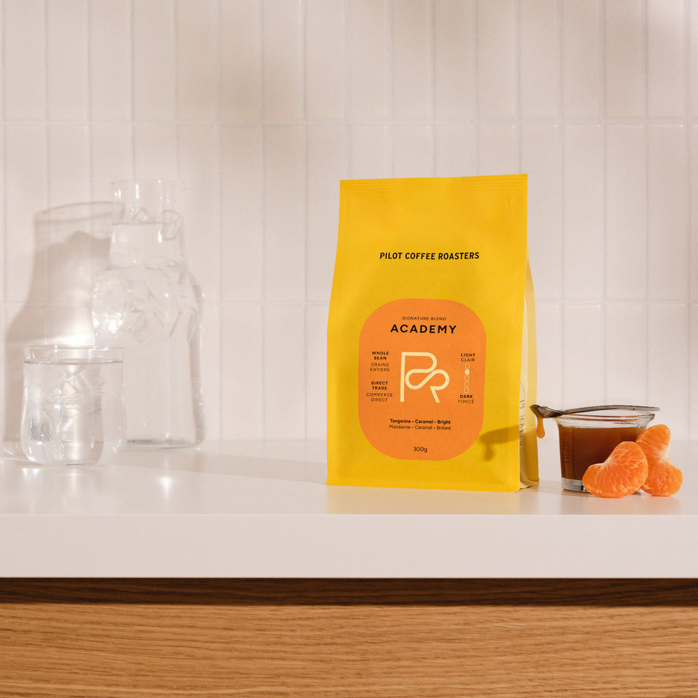 Pilot Coffee WB Academy Blend 10.6oz (300g)