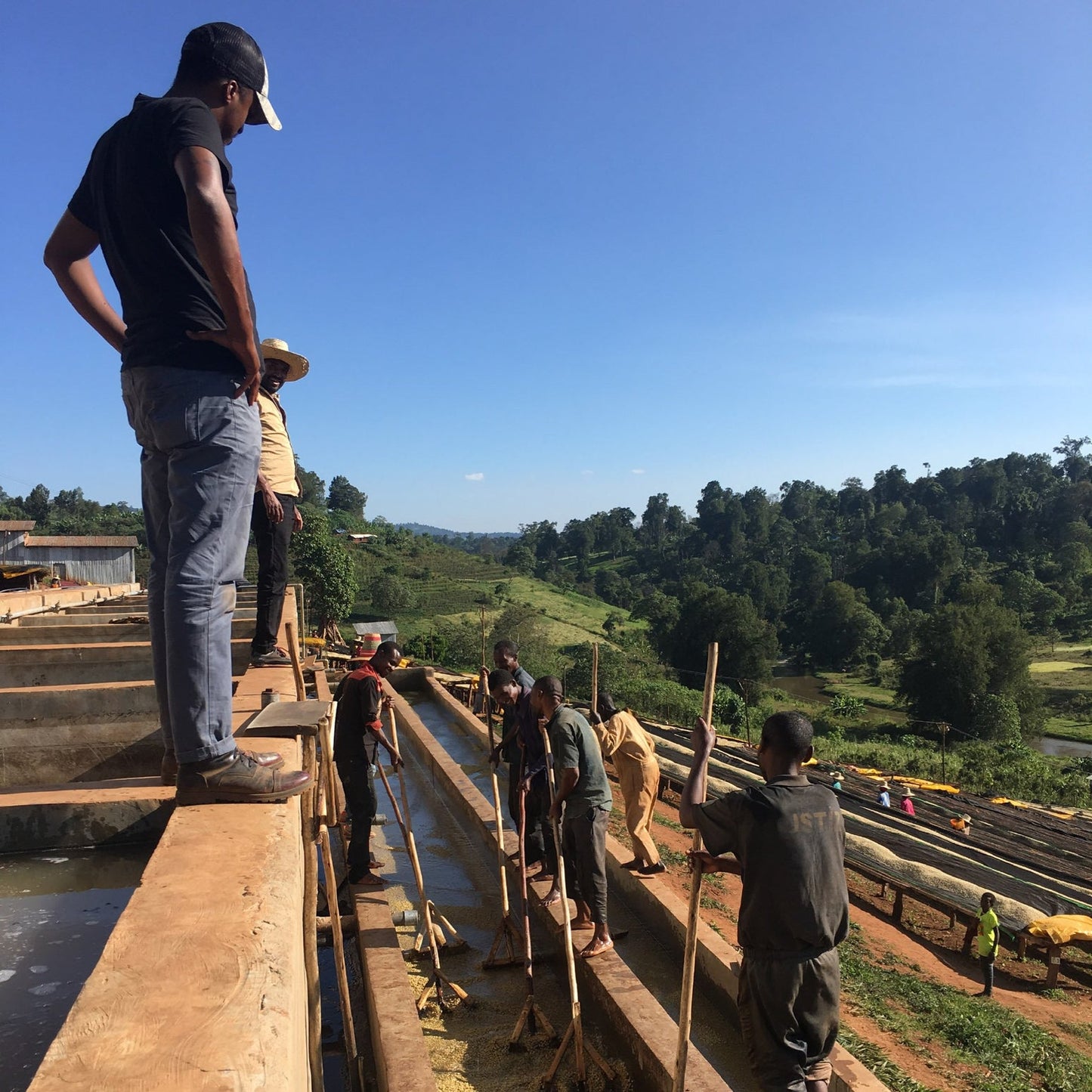 49th Parallel WB Single Origin Espresso North Star 10.6oz (300g)