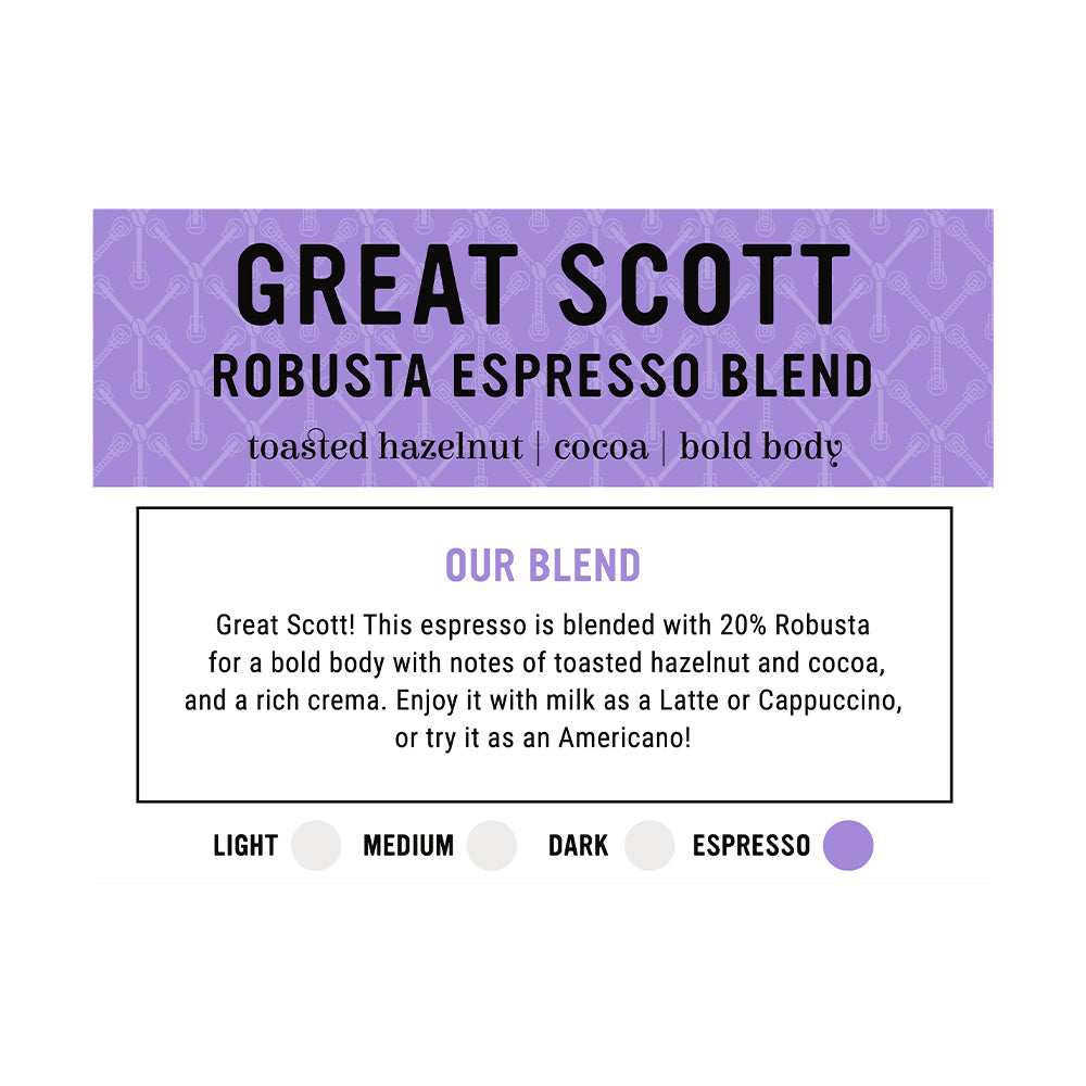 I.XXI WB Great Scott Robusta 12oz