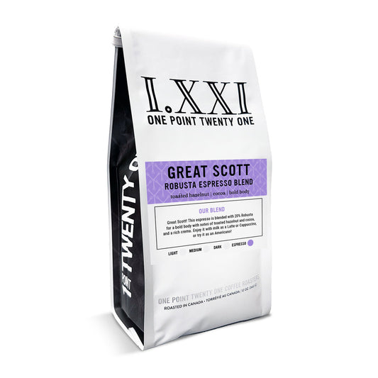 I.XXI WB Great Scott Robusta 12oz