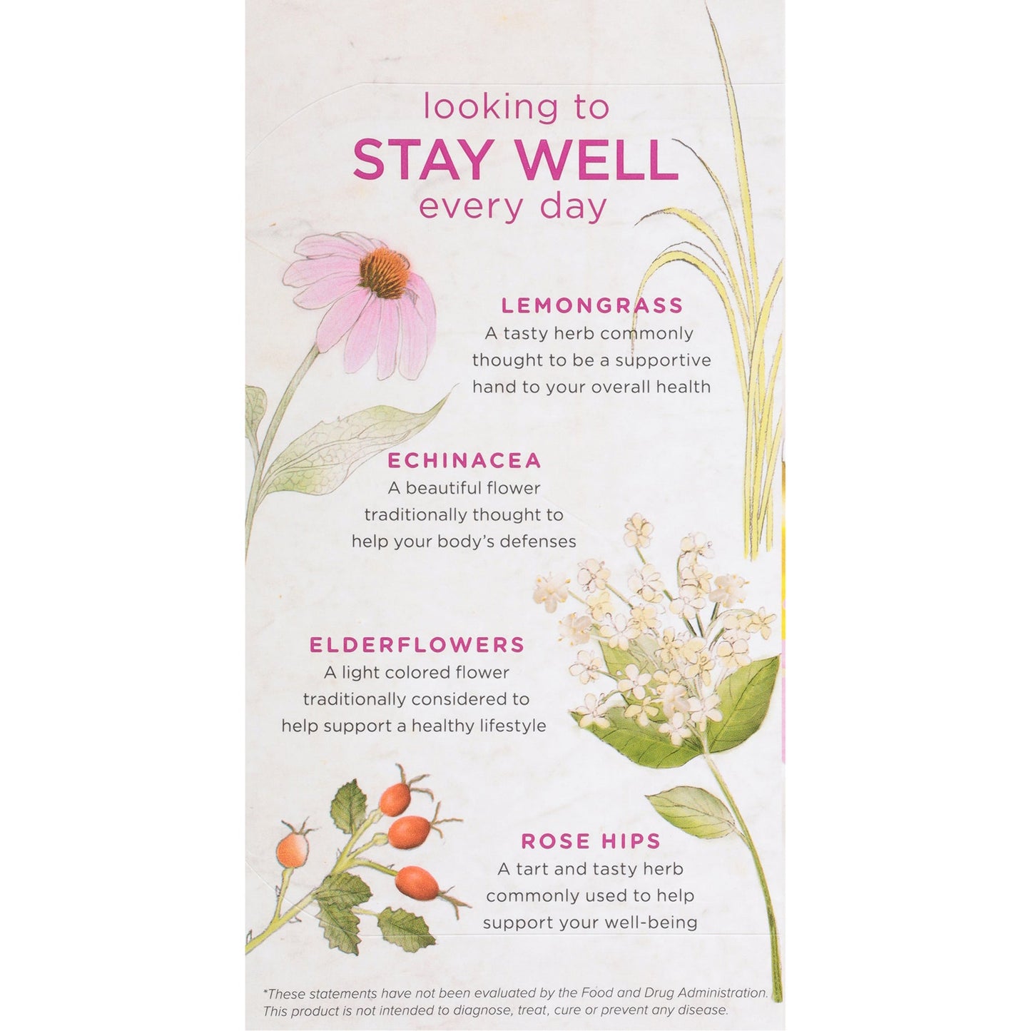 Bigelow Benefits Stay Well (Lemon and Echinacea) Herbal Tea 18 CT