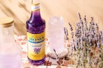 Monin Sugar Free Syrup Lavender 1L